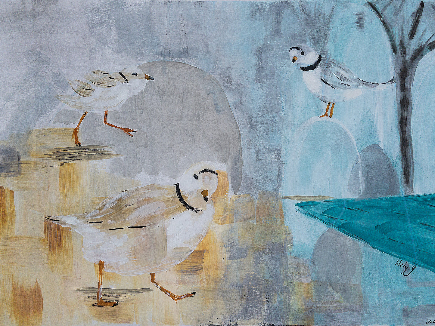 Piping Plover Three