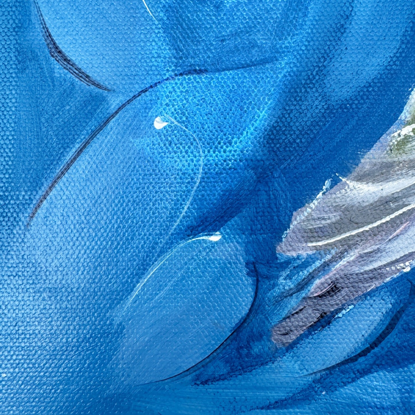 Anna Hummingbirds on Abstract