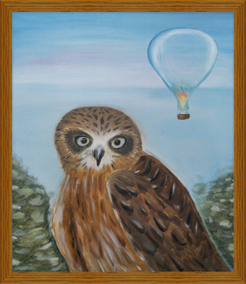 Owl and Cool Air Balloon Art Print