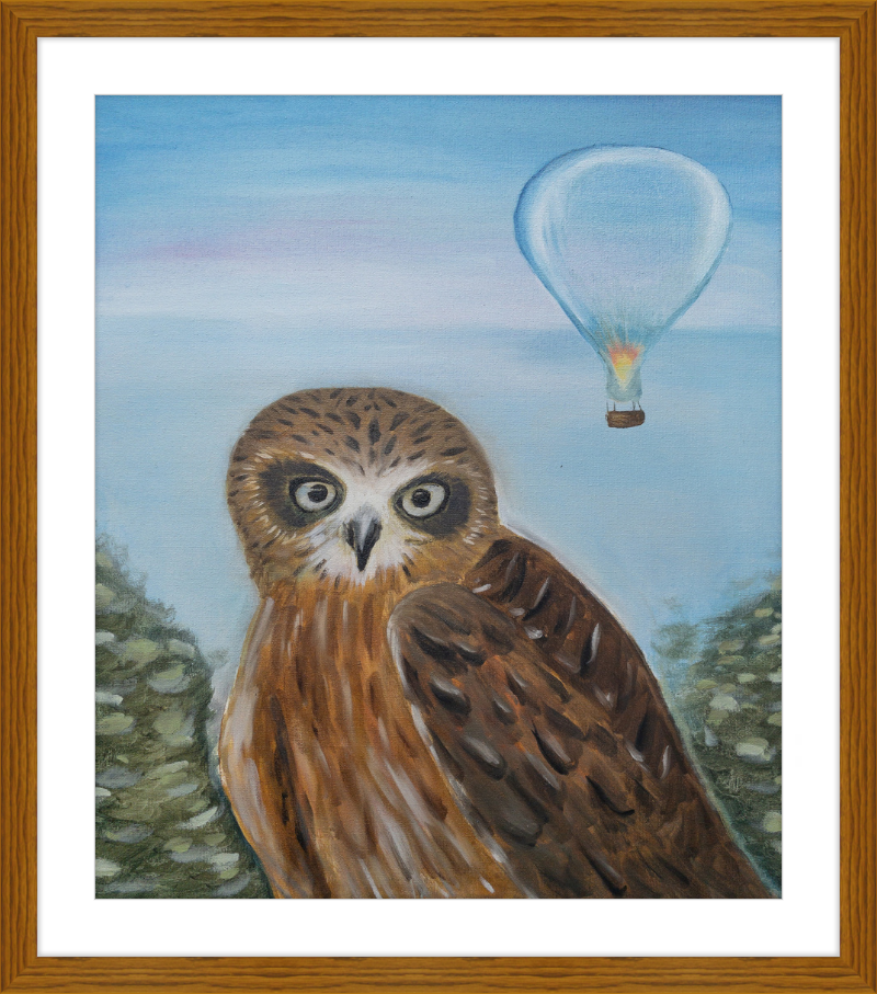 Owl and Cool Air Balloon Art Print