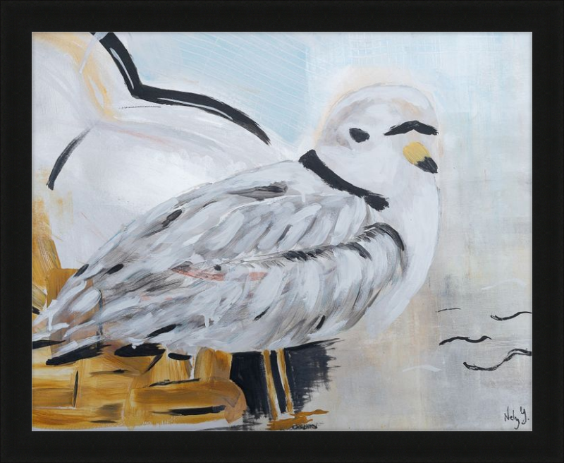 Piping Plover One Art Print