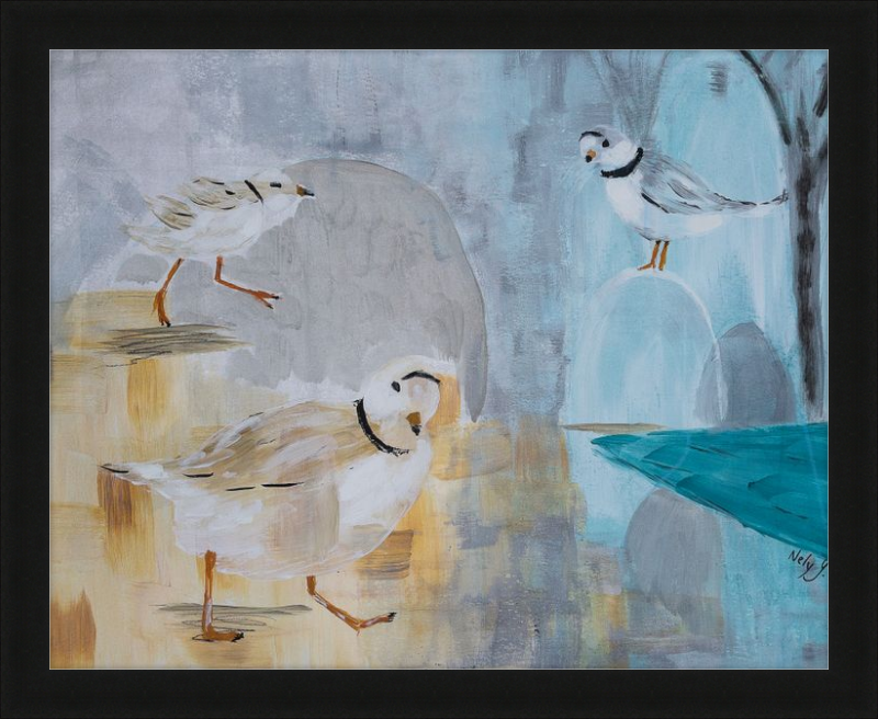 Piping Plover Three Art Print