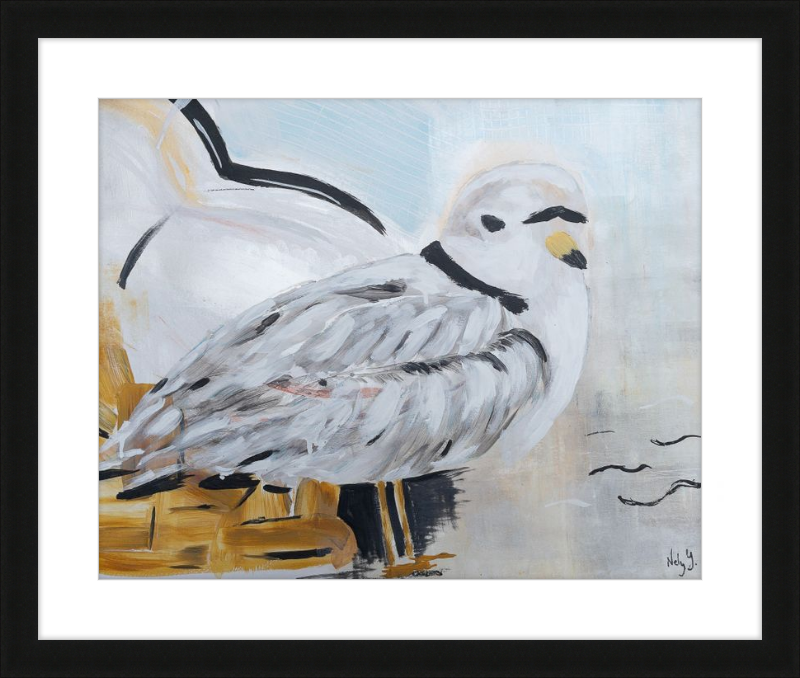 Piping Plover One Art Print