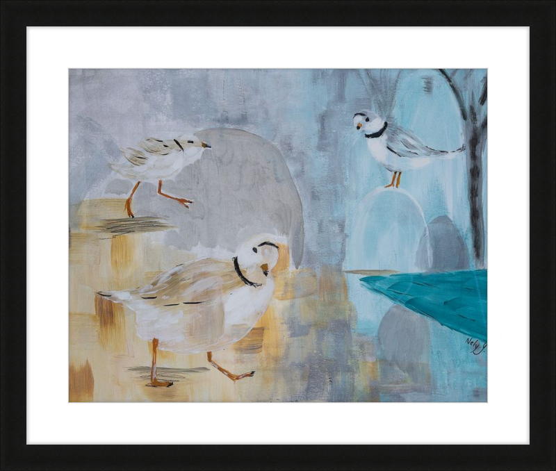 Piping Plover Three Art Print