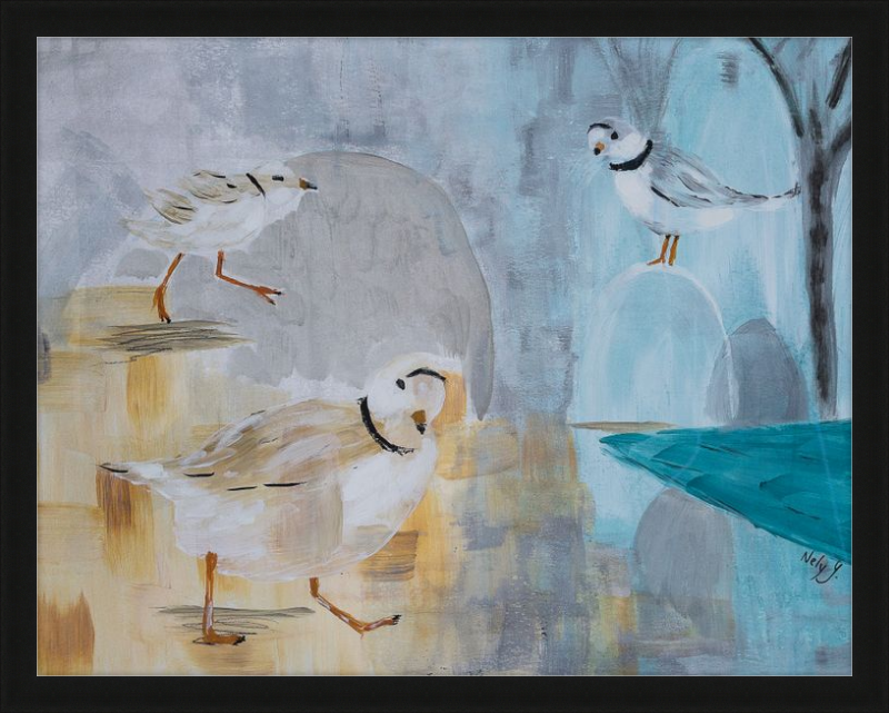 Piping Plover Three Art Print