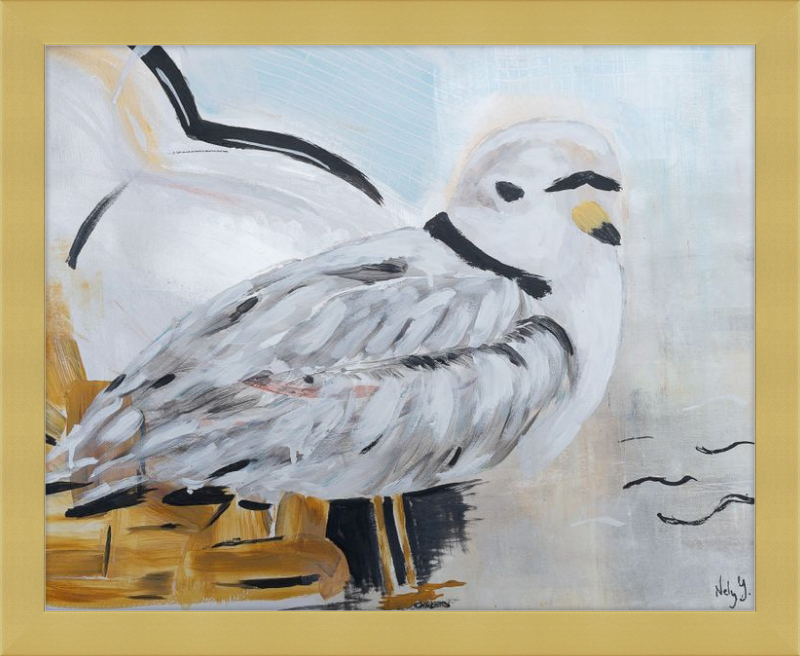 Piping Plover One Art Print