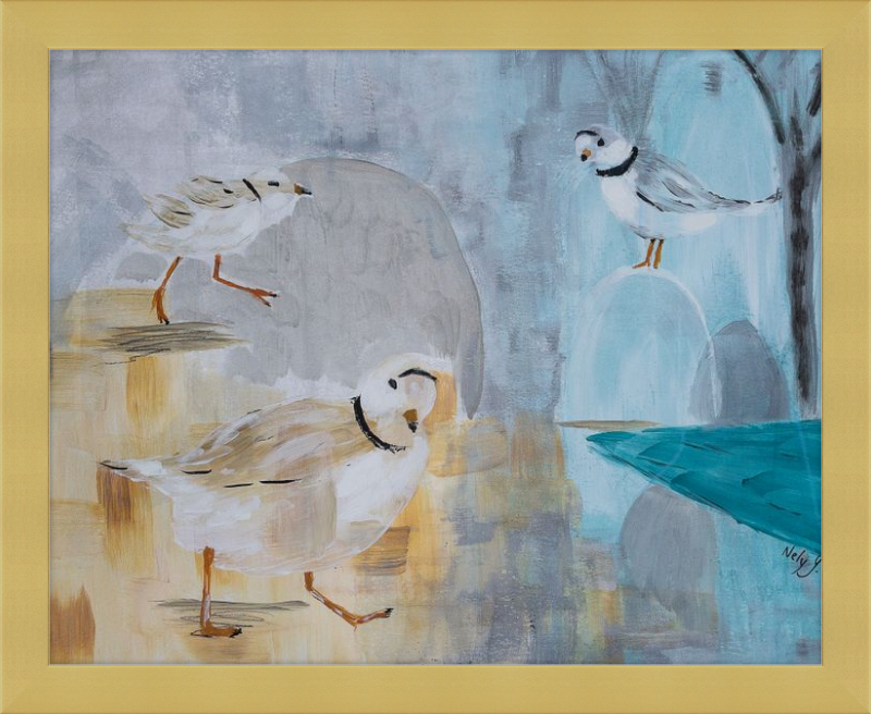 Piping Plover Three Art Print