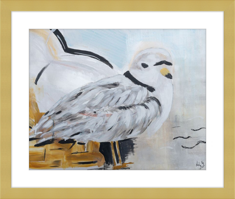 Piping Plover One Art Print