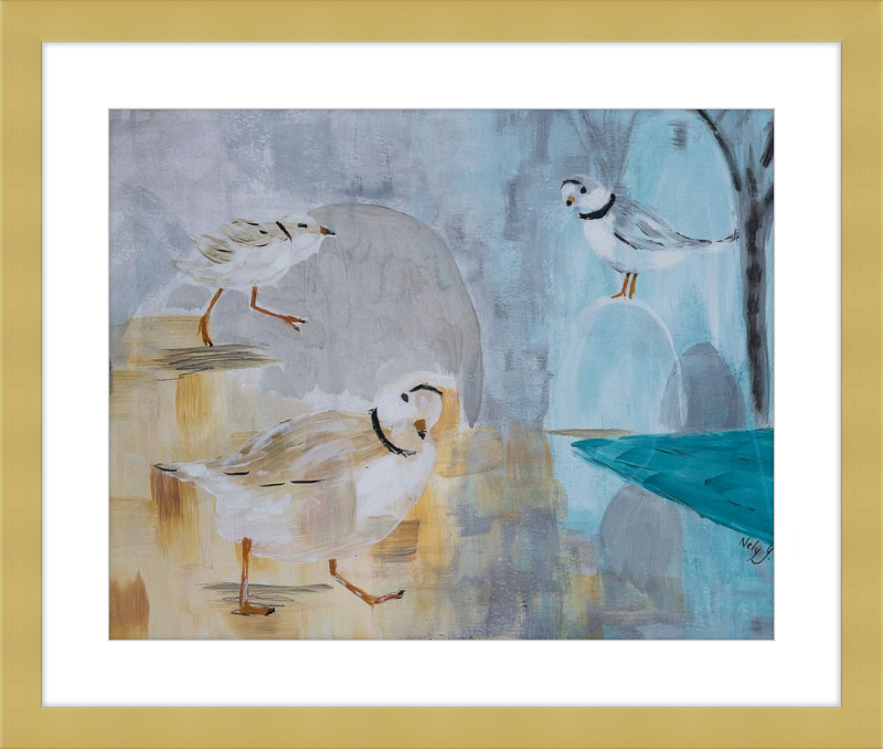 Piping Plover Three Art Print
