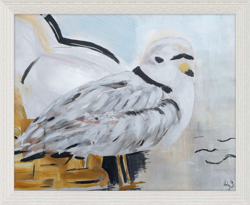 Piping Plover One Art Print