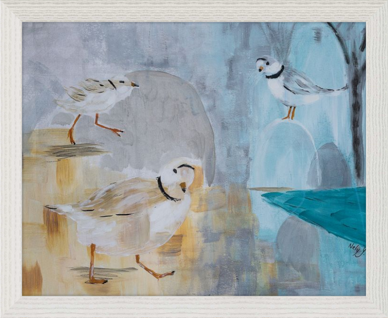 Piping Plover Three Art Print