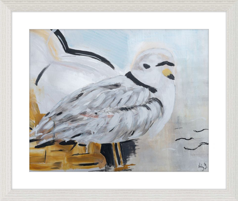Piping Plover One Art Print