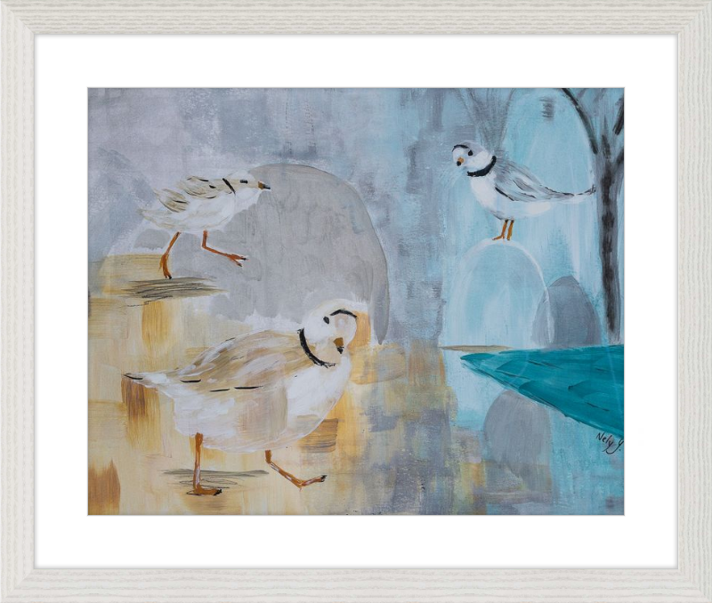 Piping Plover Three Art Print
