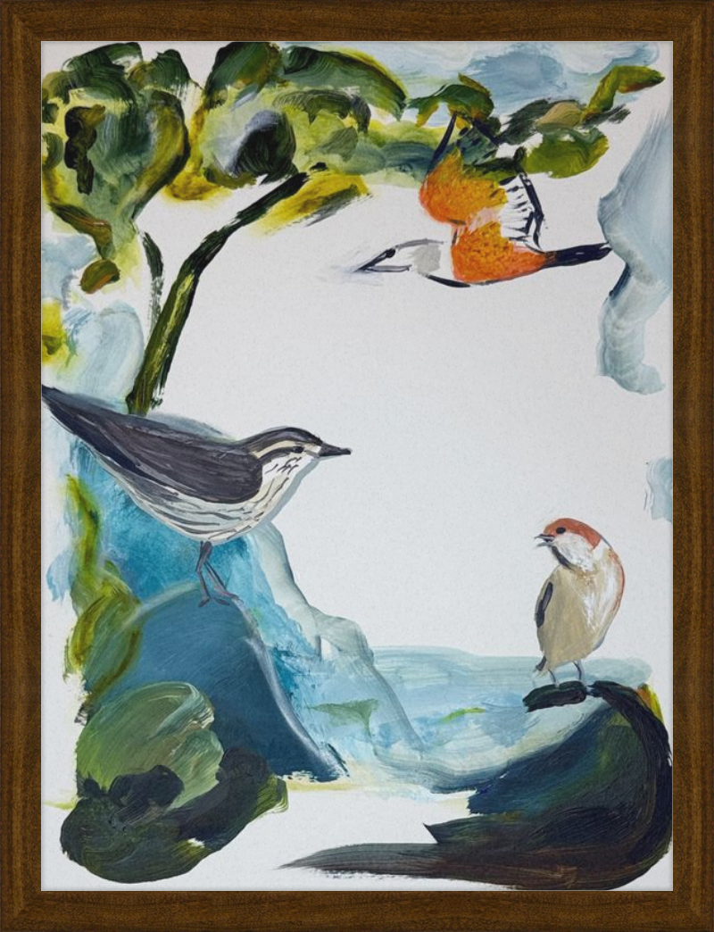 Garden and Countryside Birds Art Print