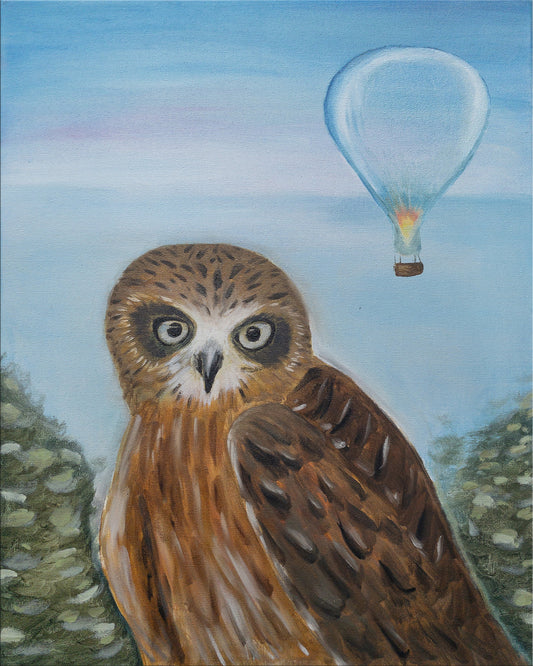 Owl and Cool Air Balloon