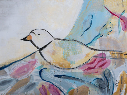 Piping Plover Color Block