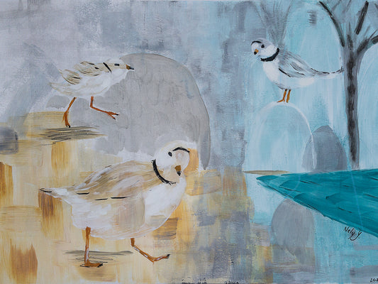 Piping Plover Three