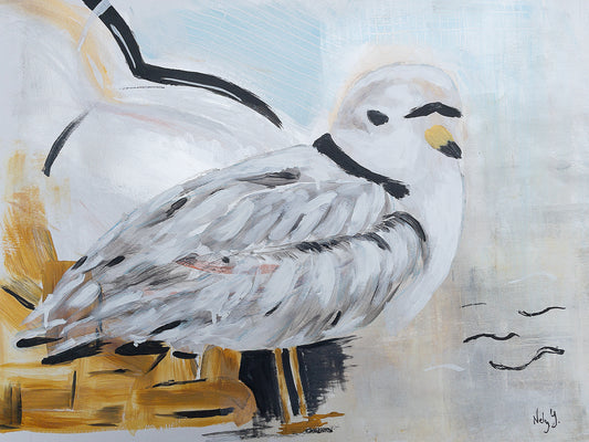 Piping Plover One