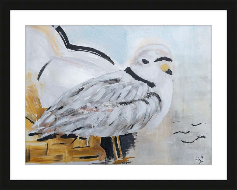 Piping Plover art print on wood frame