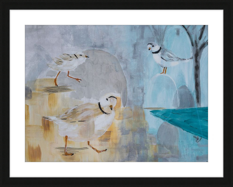 Piping Plover art print with wood frame