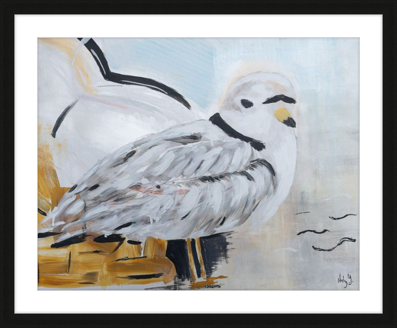 Piping Plover art print on wood frame