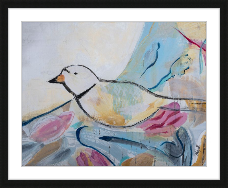 Piping Plover Color Art Print