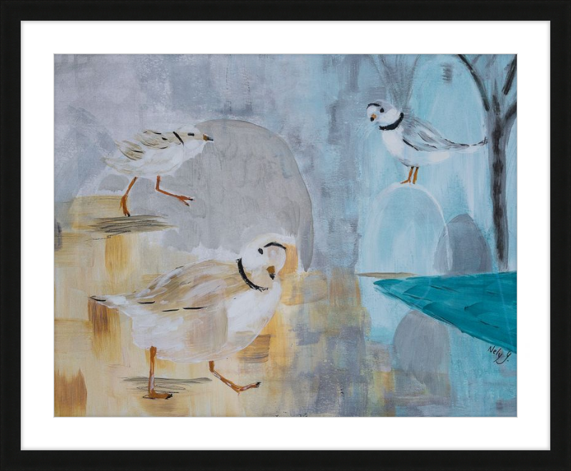 Piping Plover art print with wood frame