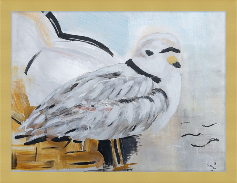 Piping Plover art print on wood frame