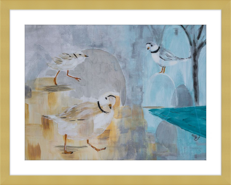 Piping Plover art print with wood frame