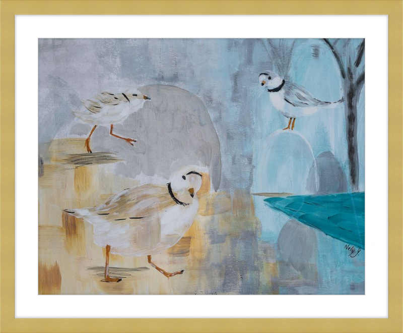 Piping Plover art print with wood frame