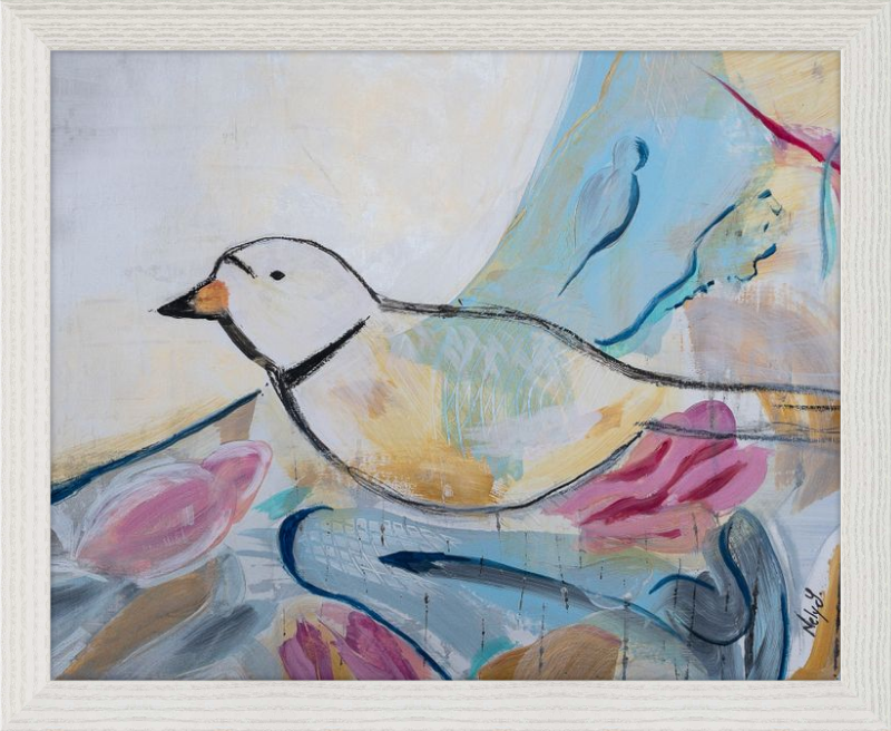 Piping Plover Color Art Print