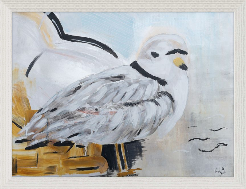 Piping Plover art print on wood frame