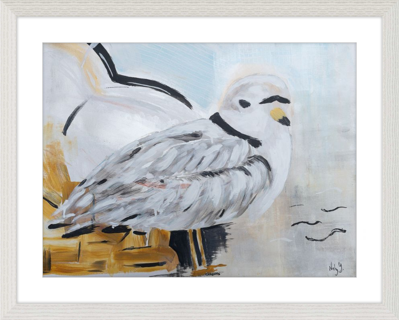 Piping Plover art print on wood frame