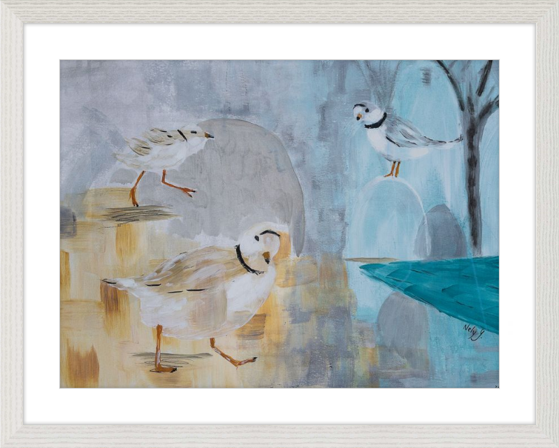 Piping Plover art print with wood frame