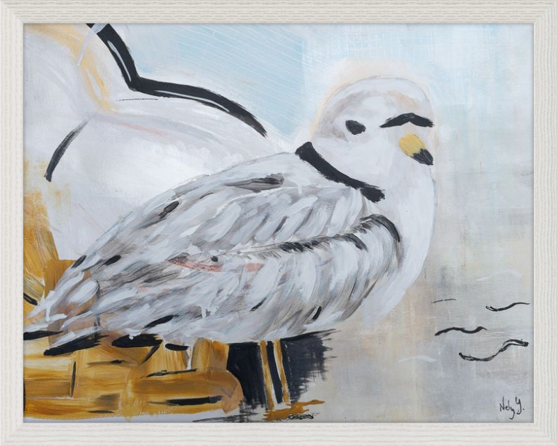 Piping Plover art print on wood frame