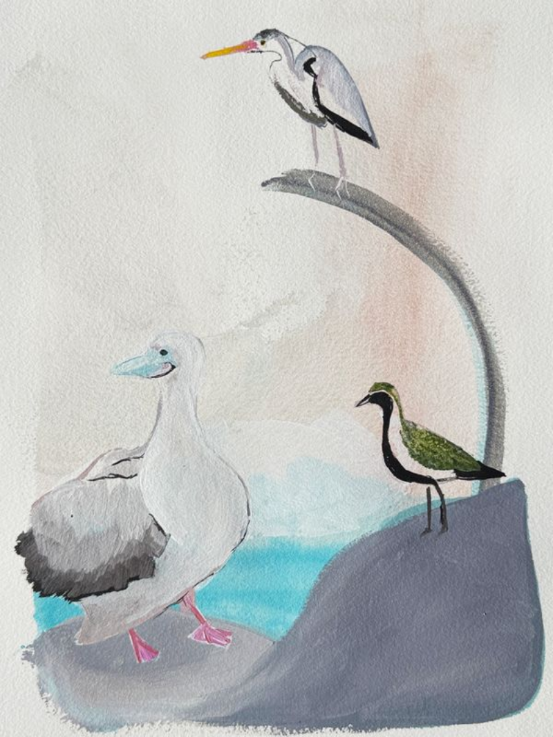 Islands and Open Seas Art Print