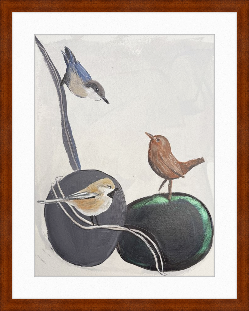Illustration of three birds on stones with a wooden frame.