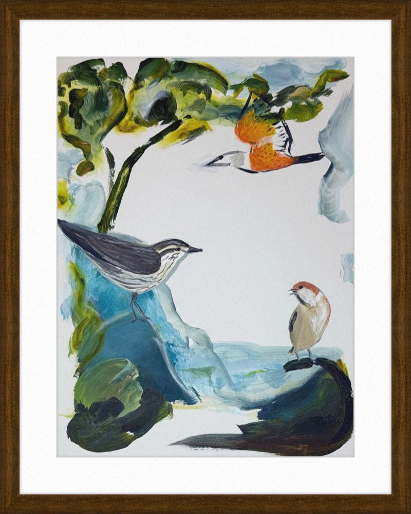 Garden and Countryside Birds Art Print