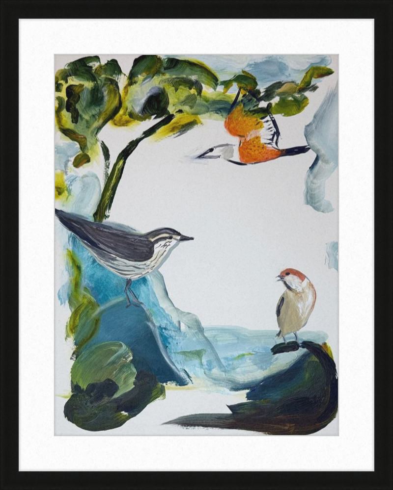 Garden and Countryside Birds Art Print