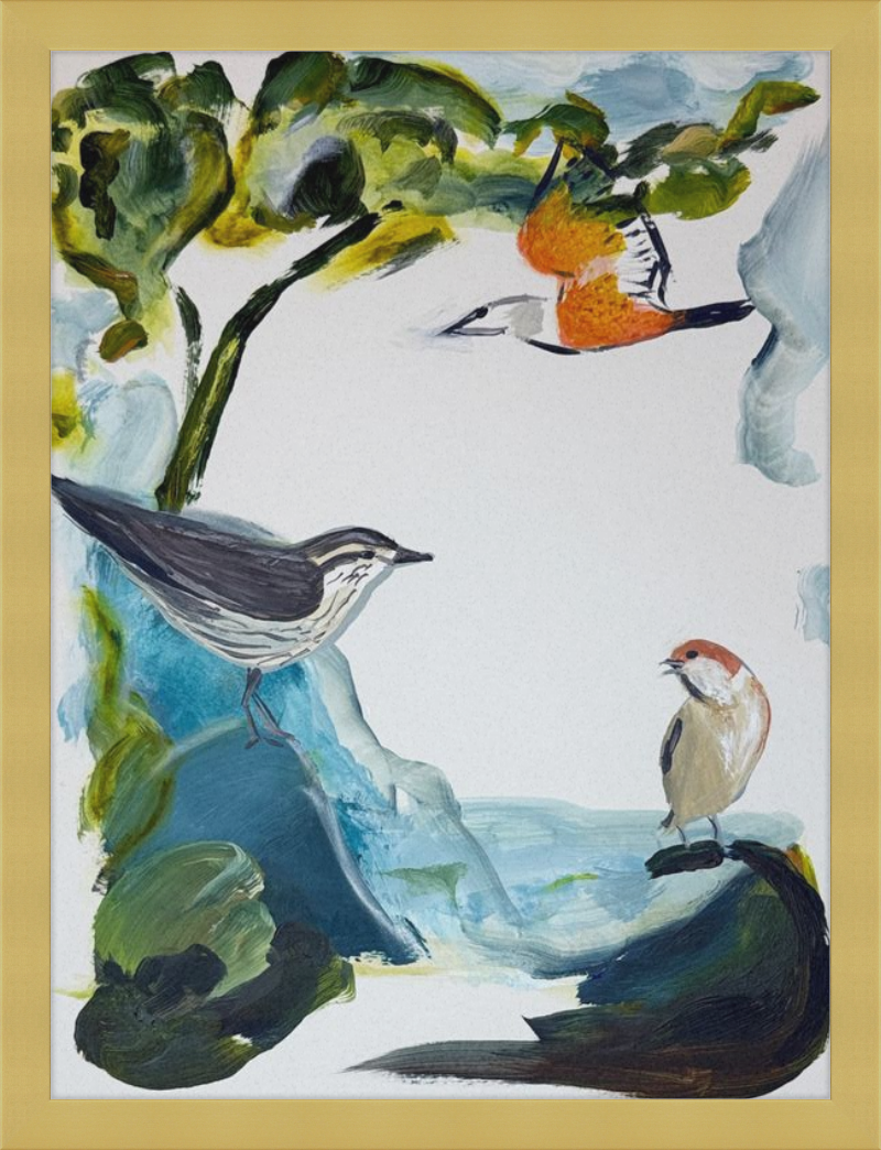 Garden and Countryside Birds Art Print