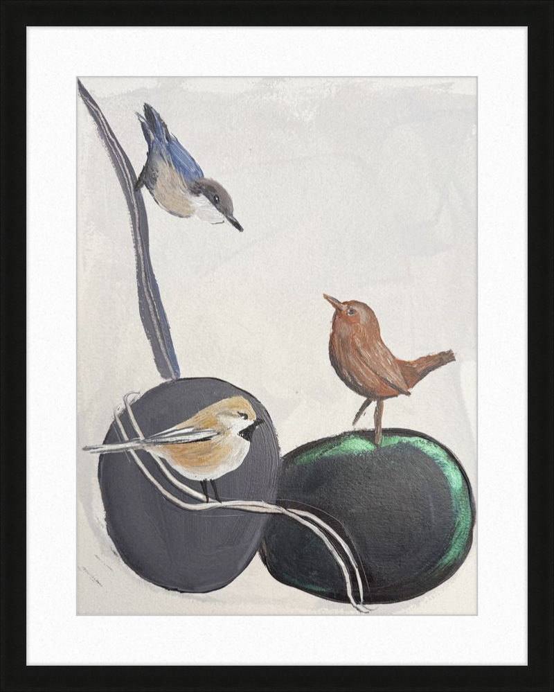 Illustration of three birds on stones with a black frame.