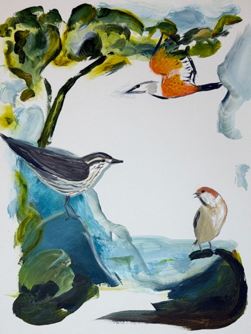 Garden and Countryside Birds Art Print