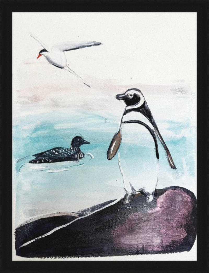 Illustration of a penguin on a rock with a loon and a tern in the water.