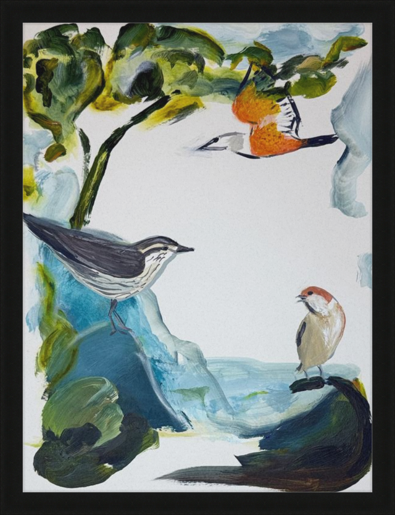 Garden and Countryside Birds Art Print