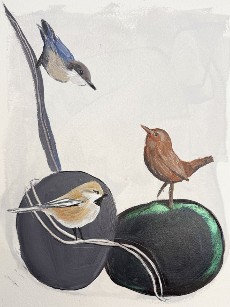 Illustration of three birds perched on black and green stones with a white background