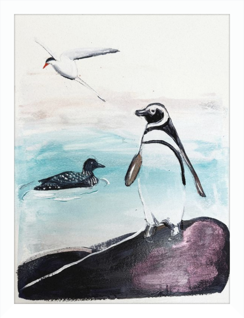 Illustration of a penguin, loon, and tern on a rock with water background