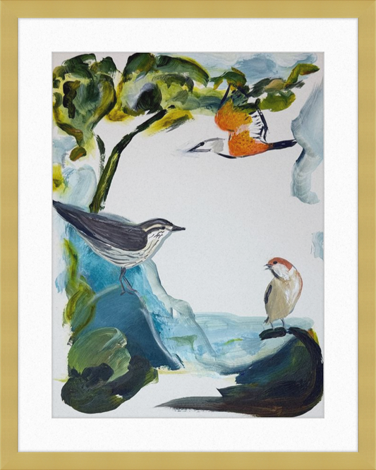 Garden and Countryside Birds Art Print