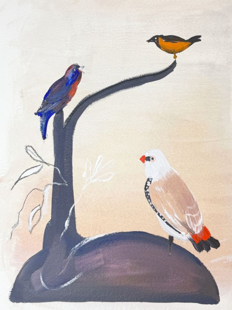 Three birds perched on a branch against a light background